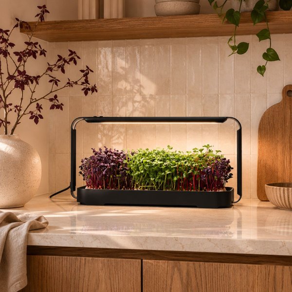 Zoom bilde av Urban Root Grove Black