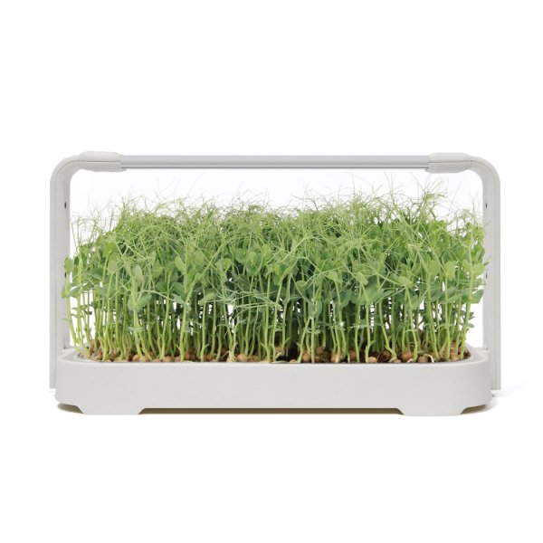Zoom bilde av Urban Root Grove White