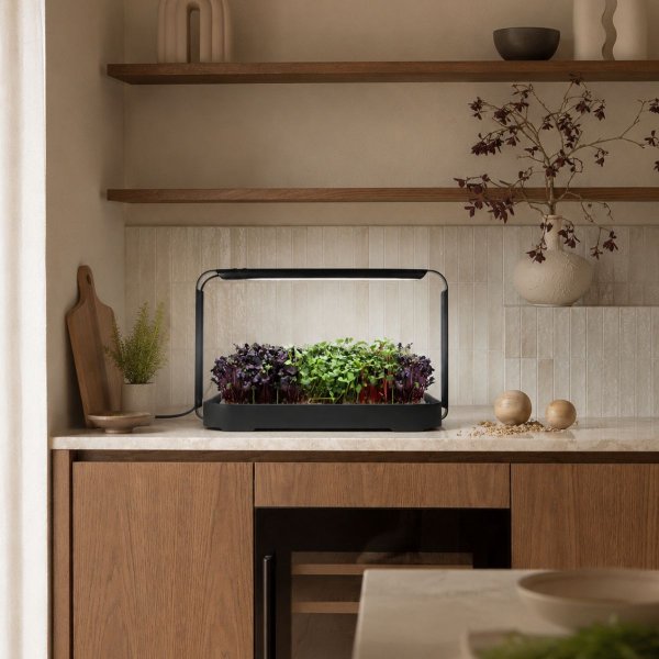 Zoom bilde av Urban Root Grove Black