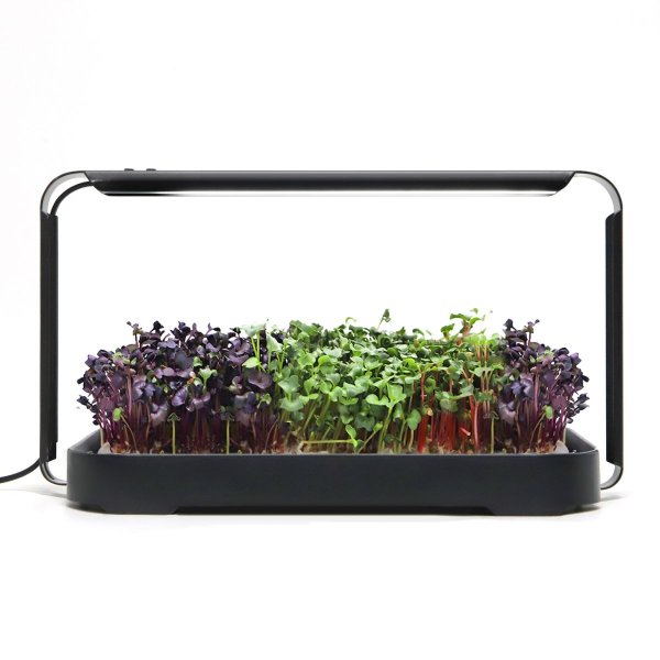 Zoom bilde av Urban Root Grove Black