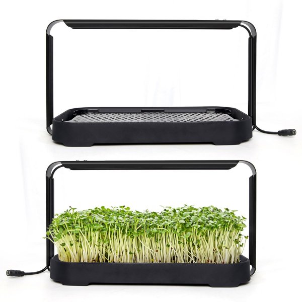 Zoom bilde av Urban Root Grove Black